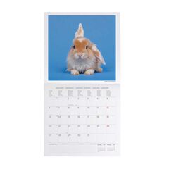 Calendario Pared Legami m/vista 2025 Honey Bunny
