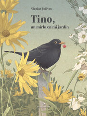 Tino, un mirlo en mi jardín Tino, un mirlo en mi jardín