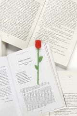 Punto de Libro Rosa Sant Jordi