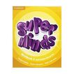 Super Minds Level 5 Workbook With Super Practice Book and Digital Pack British English