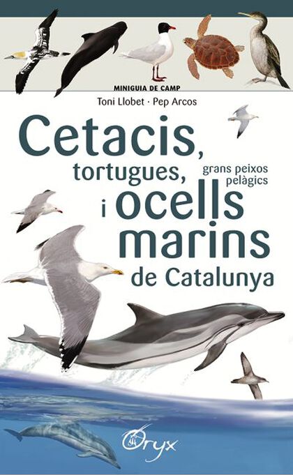 Cetacis Tortugues Grans Peixos Pelàgics I Ocells Marins De Catalunya
