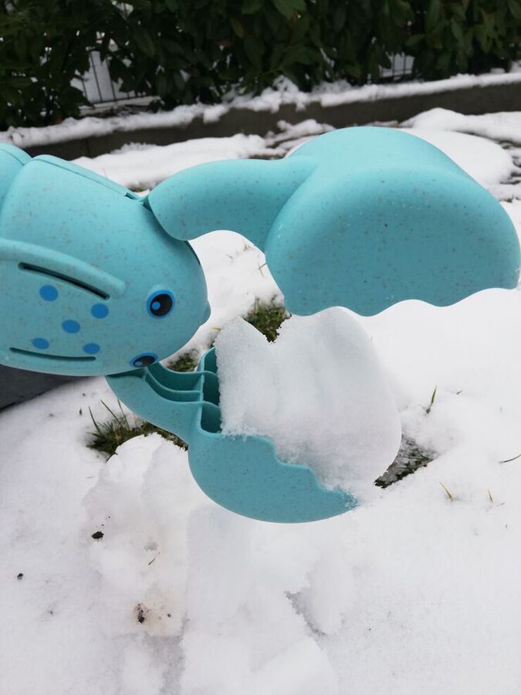 Langosta arena eco surtidas