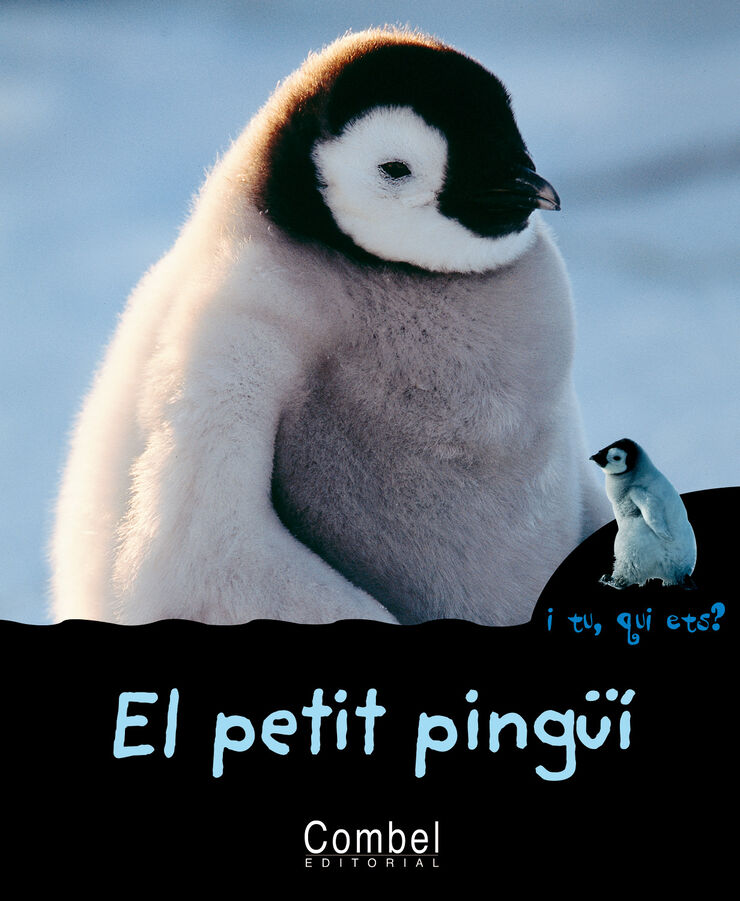Petit pingüí, El