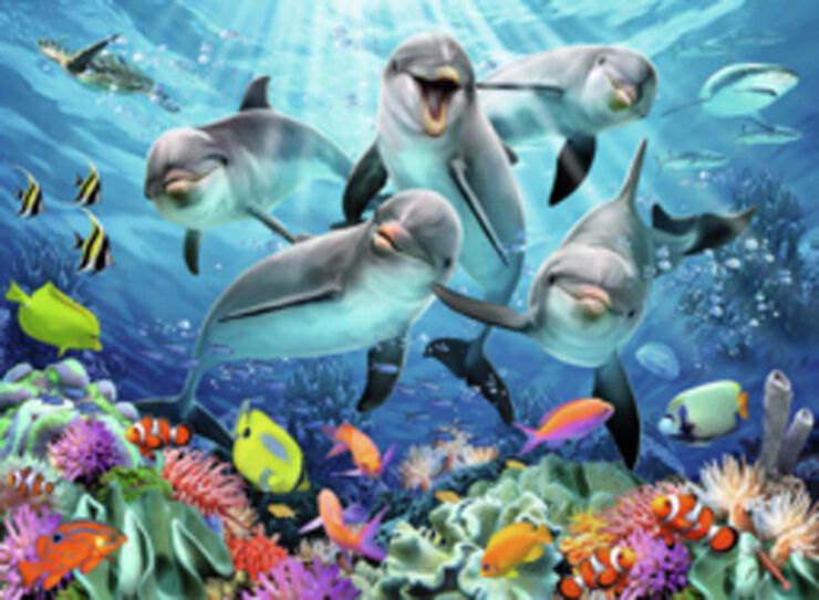 Puzle 500 peces Dofins
