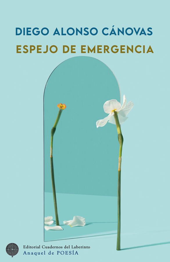 Espejo de emergencia