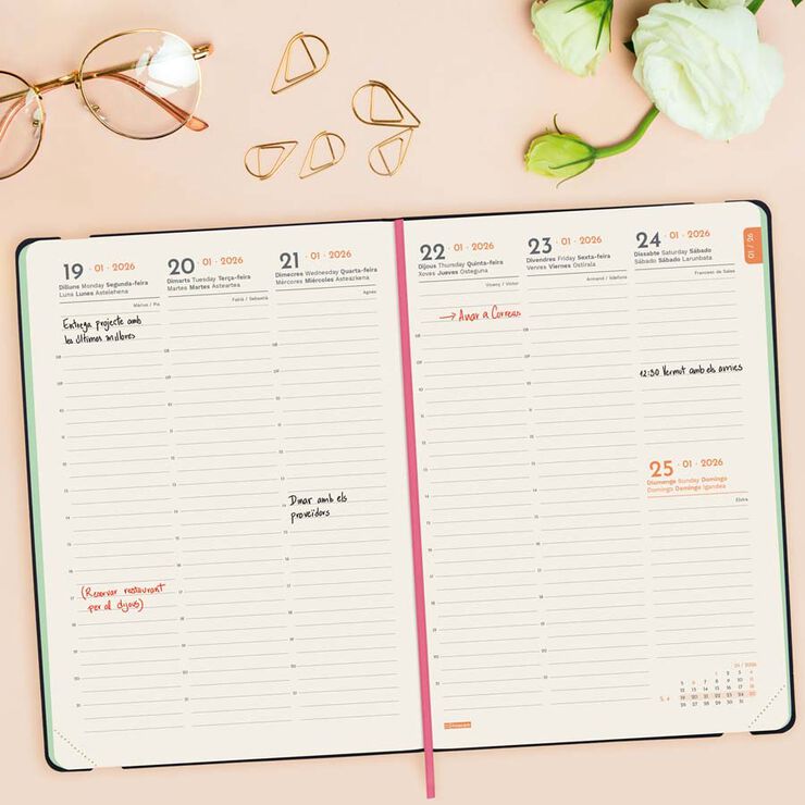 Agenda Finocam Joy FA5 sem/vista vertical cat 2026 Bloom