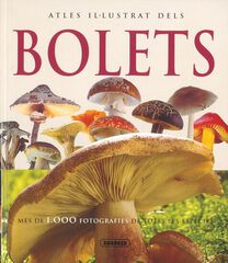 Atles il·lustrat dels bolets Atles il·lustrat dels bolets