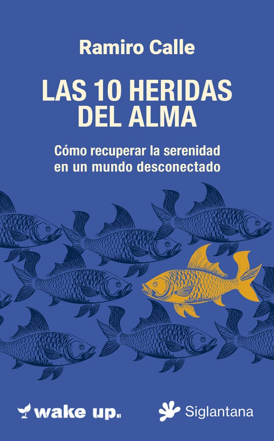 Las 10 heridas del alma