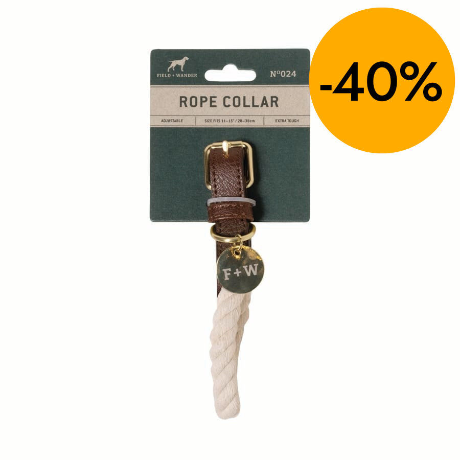 Corretja per a Gos petit Gentlemen's Hardware