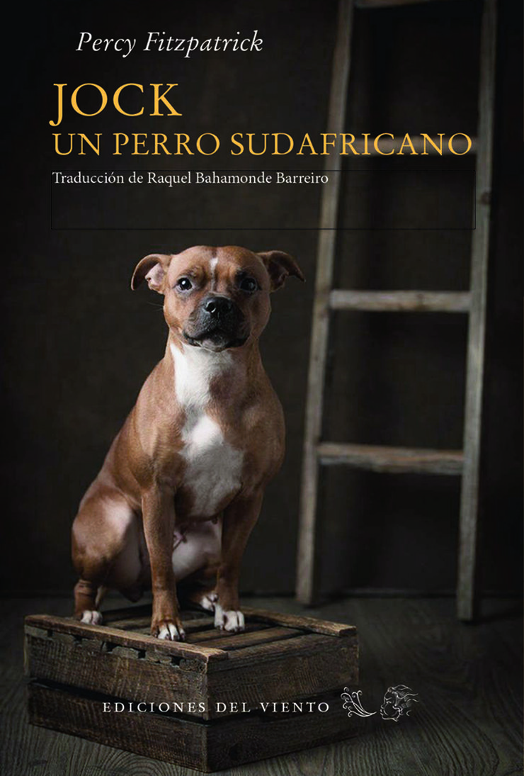 Jock, un perro sudafricano