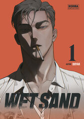 Wet sand 01