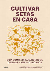 Cultivar setas en casa Cultivar setas en casa