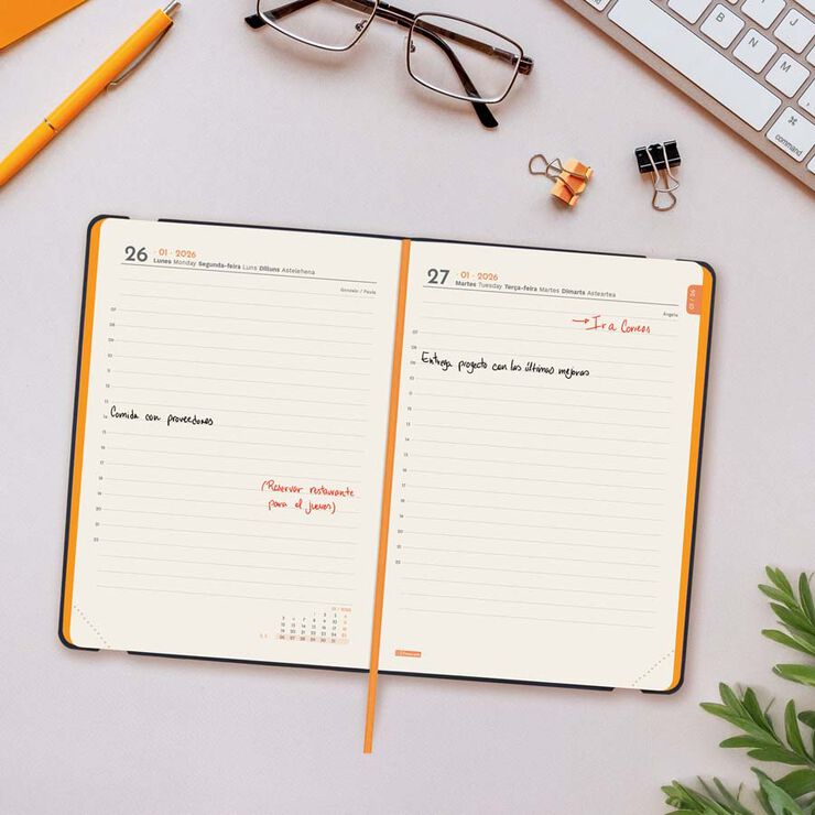 Agenda Finocam Llisa F4 dia/pàg cas 2026 blau