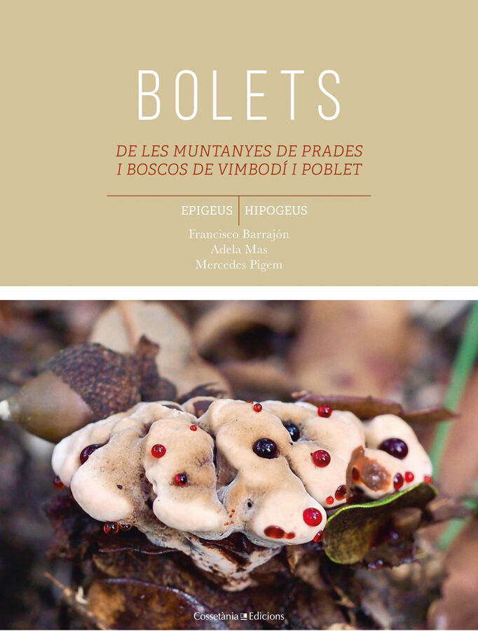 Bolets de les muntanyes de Prades i boscos de Vimbod&iacute; i Poblet