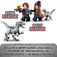 LEGO® Jurassic World Captura dels velocirraptors Blue i Beta 76946
