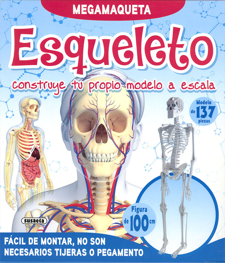 Esqueleto (maqueta)