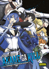 Akame memorial fanbook Akame memorial fanbook