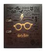 Arxivador Harry Potter