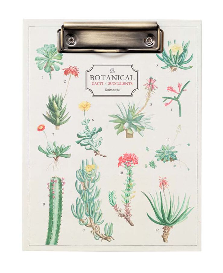 Carpeta A5 Con Pinza Kokonote Botanical Cacti