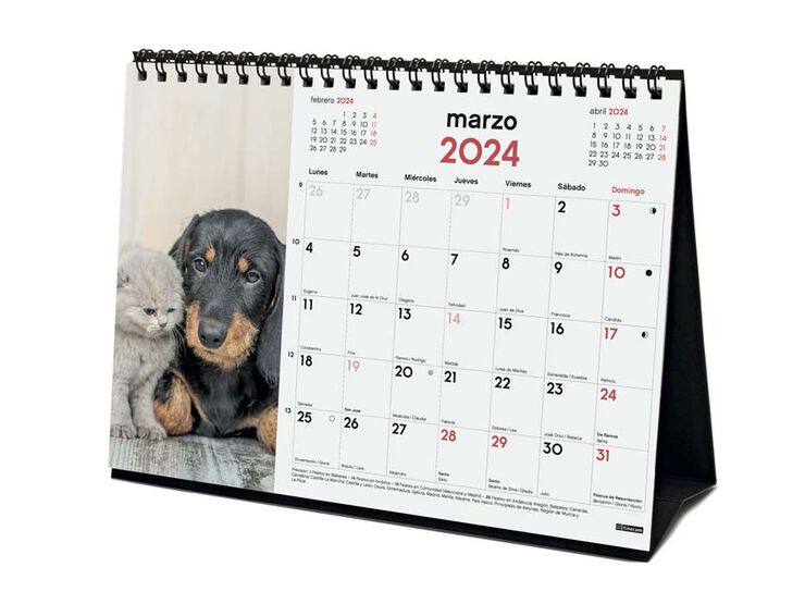 Calendario sobremesa Finocam 2024 Perros Y Gatos cas