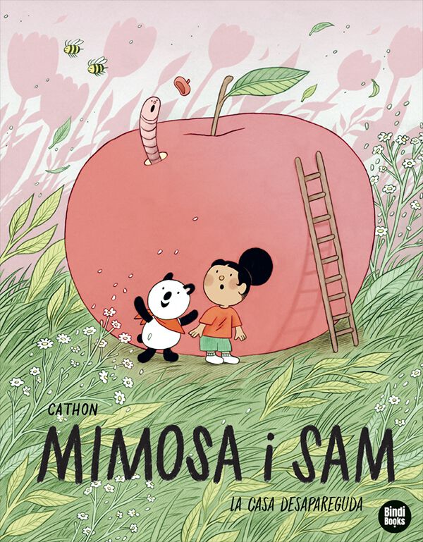 La casa desapareguda