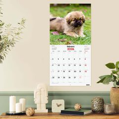 Calendario pared Finocam 30x30 2026 Cachorros castellano