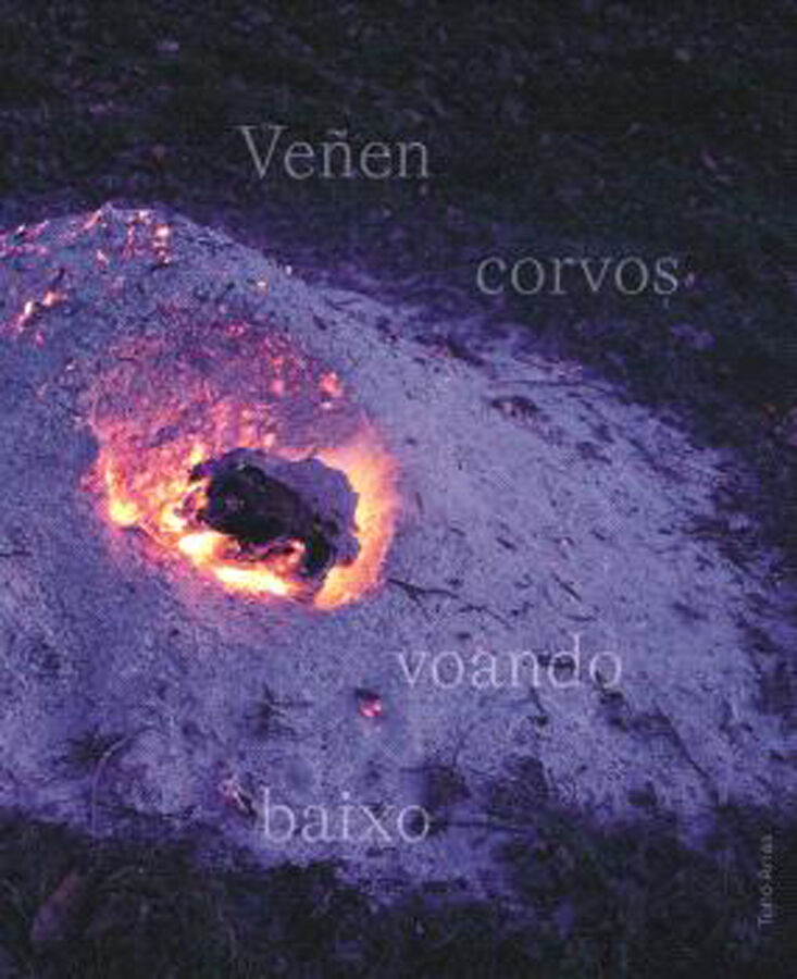 Ve&ntilde;en corvos voando baixo