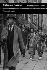 El caminante El caminante