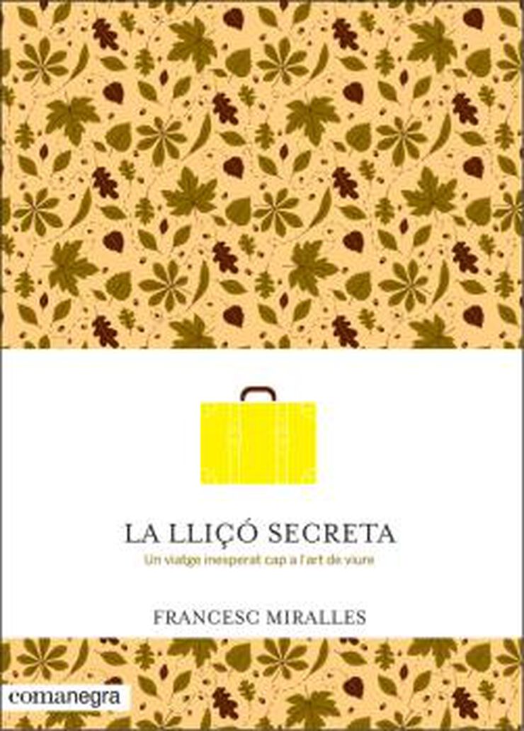 La lliçó secreta