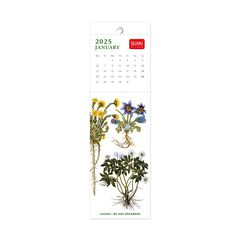 Calendario Marcapáginas Legami m/vista 2025 Herbarium
