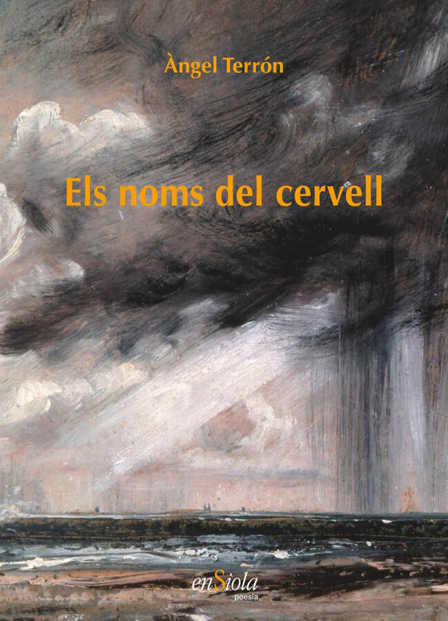 Els noms del cervell