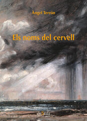 Els noms del cervell