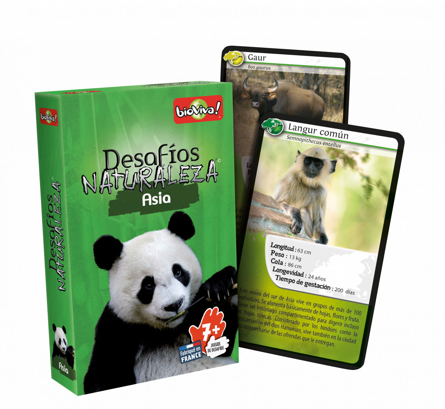 Juego de cartas Bioviva Desaf&iacute;os Naturaleza Asia