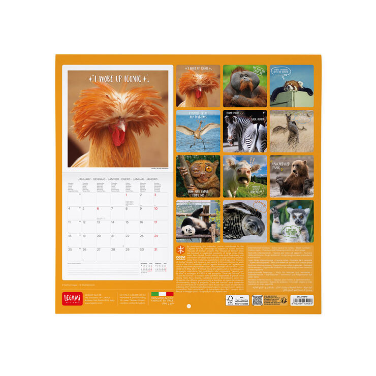 Calendario Legami 30x29 Pared Take It Easy Multiling&uuml;e 2027