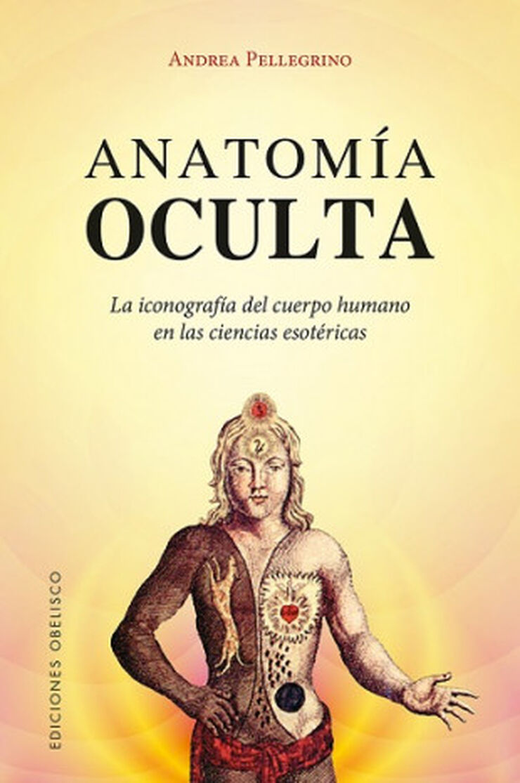 ANATOMÍA OCULTA