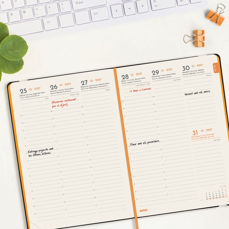 Agenda Finocam Flex Llisa Semana Vista Vertical 2027 Catal&aacute;n Azul