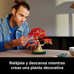 LEGO® Botanicals Bonsái de Arce Rojo Japonés 10348