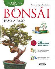 Bonsái paso a paso Bonsái paso a paso