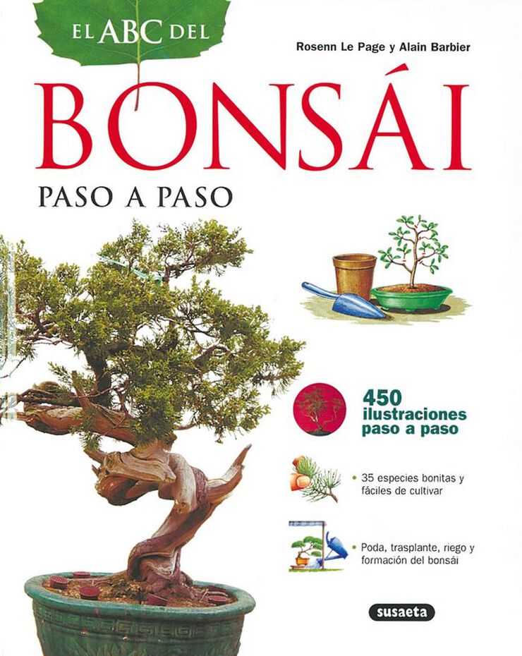 Bonsái paso a paso