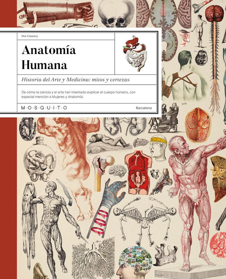 Anatom&iacute;a humana