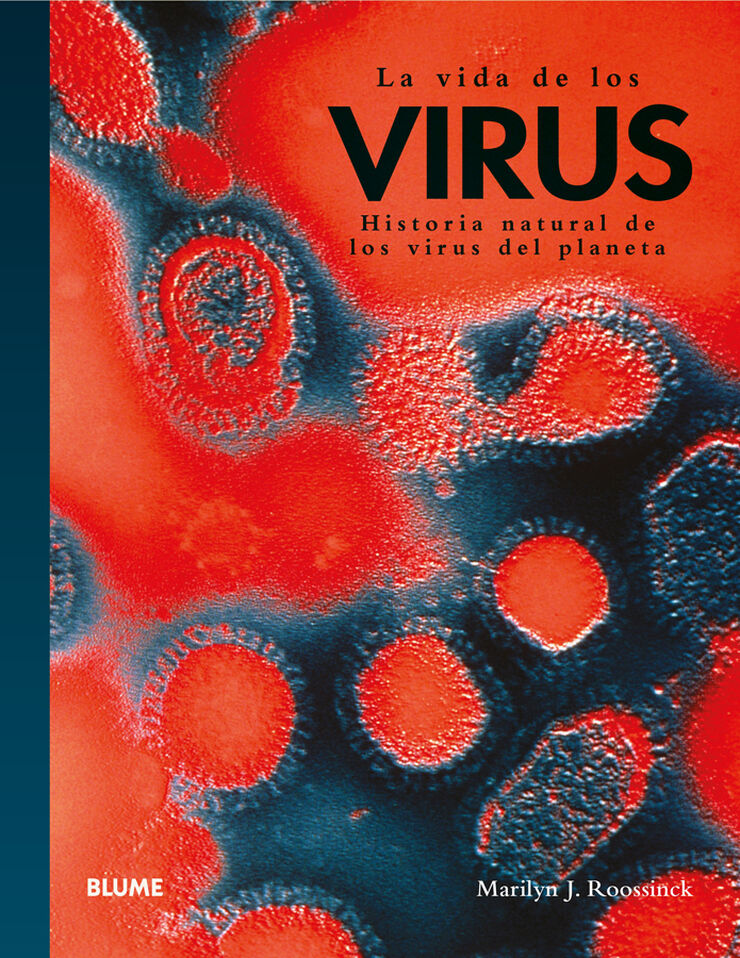 La vida de los virus