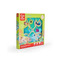 Laberint Magnètic Iti