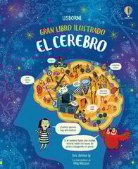 El cerebro El cerebro
