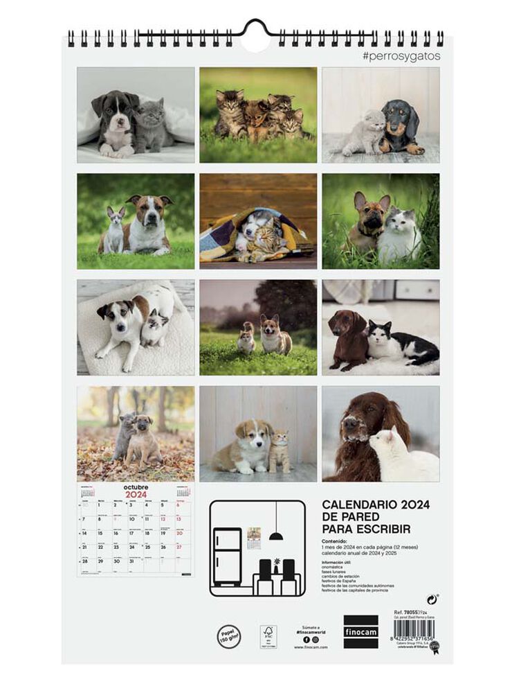 Calendario pared Finocam Esp, 25X40 2024 Perro Y Gato cas