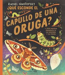 ¿Qué esconde el capullo de una oruga? ¿Qué esconde el capullo de una oruga?