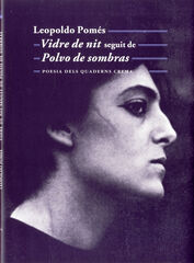 Vidre de nit seguit de Polvo de sombras
