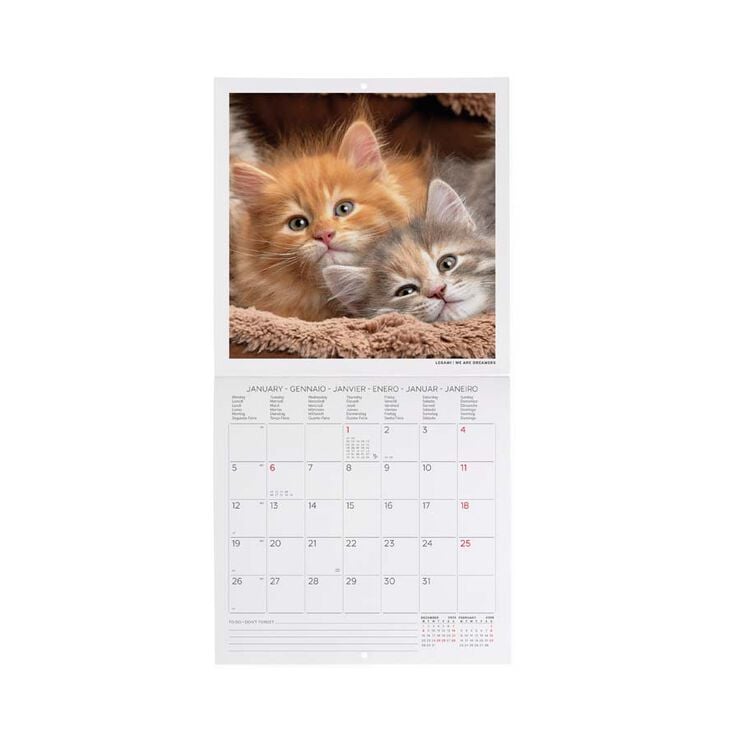 Calendario pared Legami 18x18cm 2026 Kittens