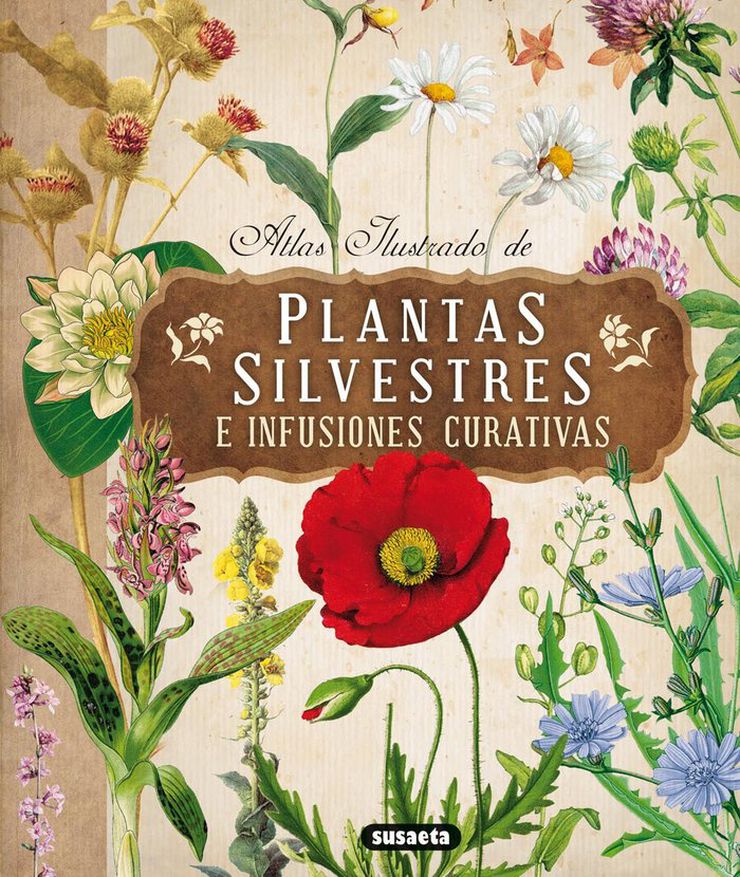 Plantas silvestres e infusiones