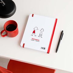 Agenda Occimorons castellano sem/vista 2026