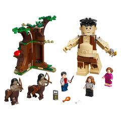 LEGO® Harry Potter Bosque Prohibido 75967
